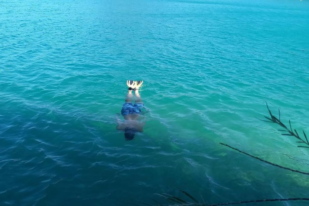 House Of Magic Lake Gréoux-les-Bains المظهر الخارجي الصورة