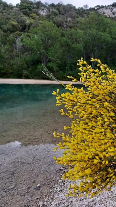 House Of Magic Lake Gréoux-les-Bains المظهر الخارجي الصورة